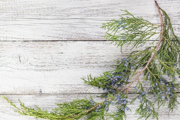 Thuja twigs on wooden surface with copy space