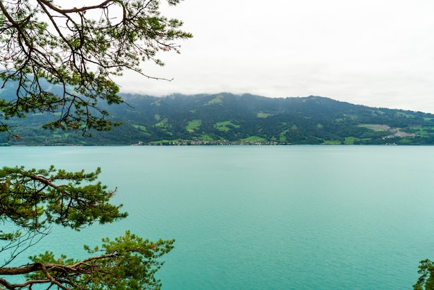 Foto lago di thun con nuvoloso