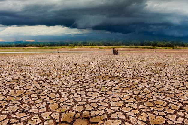 Foto temporale nel cielo e terra asciutta incrinata senza acqua