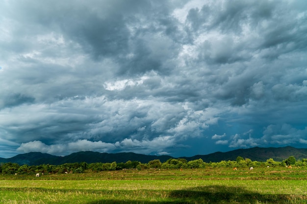 Thunder storm sky Rain clouds xA