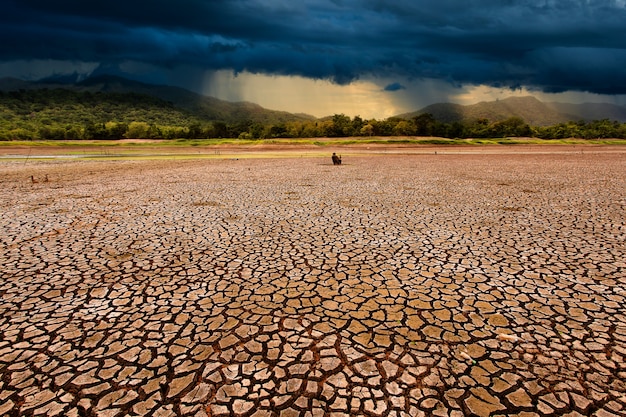 Thunderstorm clouds and cracked dry land