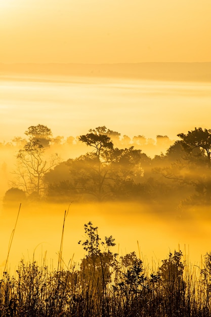 Thung Salaeng Luang National ParkThe sun over the mountains and vast grasslands Phetchabun Province Thailand