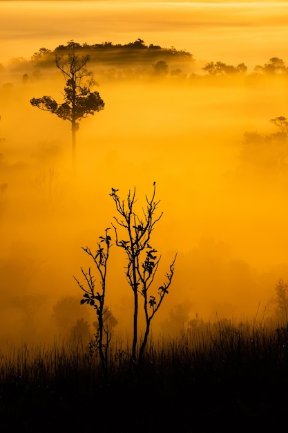 Thung salaeng luang national parkthe sun over the mountains and vast grasslands phetchabun province thailand