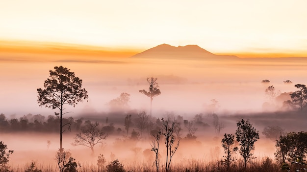 Thung Salaeng Luang National ParkThe sun over the mountains and vast grasslands Phetchabun Province Thailand