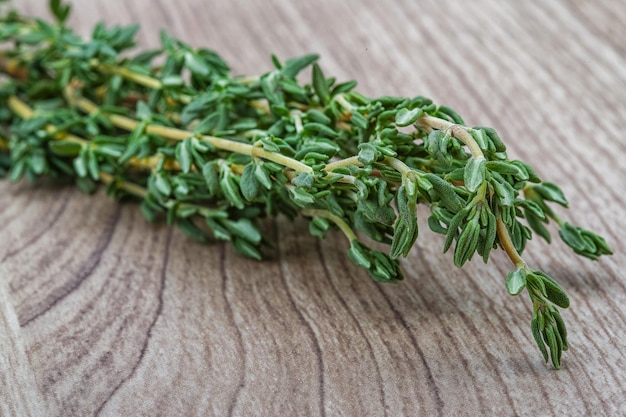 Thyme branch