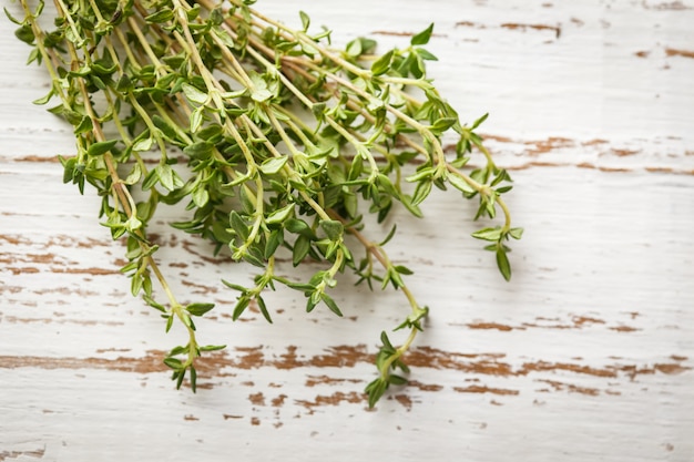 Thyme branches on a light background