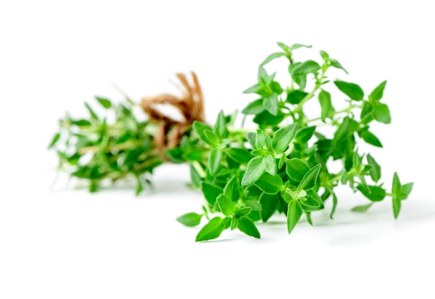 Thyme fresh herb closeup isolated on white