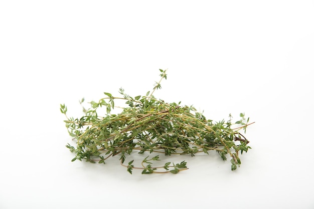 Thyme herb isolated in white background