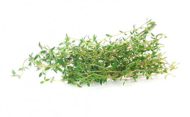 Thyme herb isolated on white background