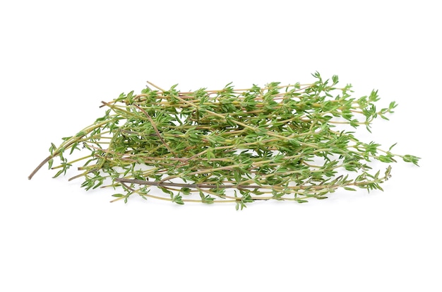 Thyme sprigs isolated on a white background