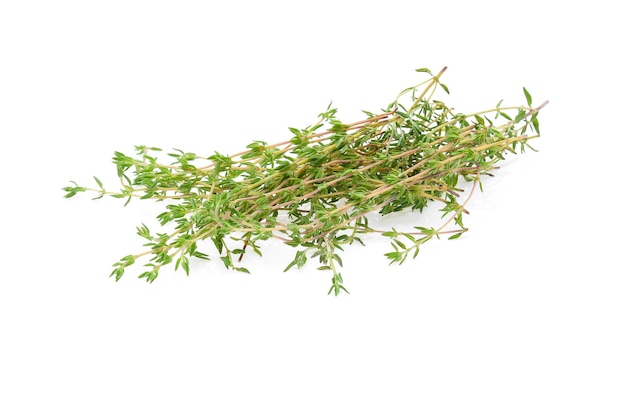 Thyme sprigs isolated on a white background