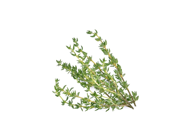Photo thyme sprigs isolated