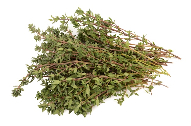 Thyme on a white background