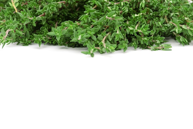 Thyme on white isolated background