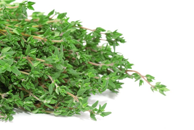 Thyme