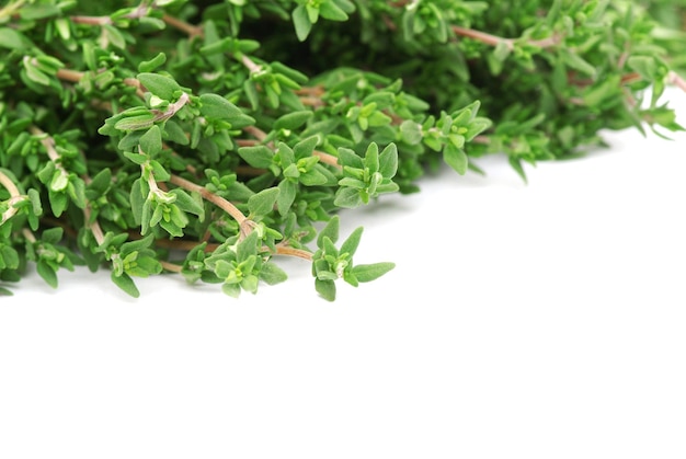 Thyme