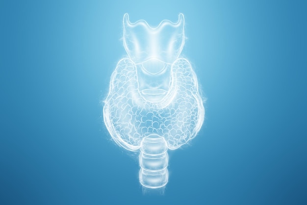 Thyroid gland hologram on a blue background Ultrasound diagnostics thyroid diseases 3D render 3D illustration