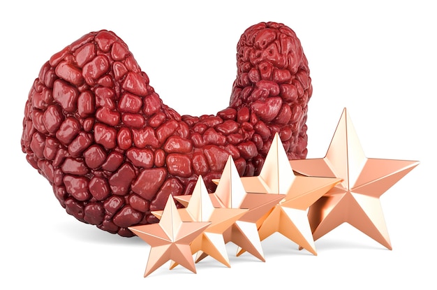 Thyroid gland with five golden stars 3D rendering