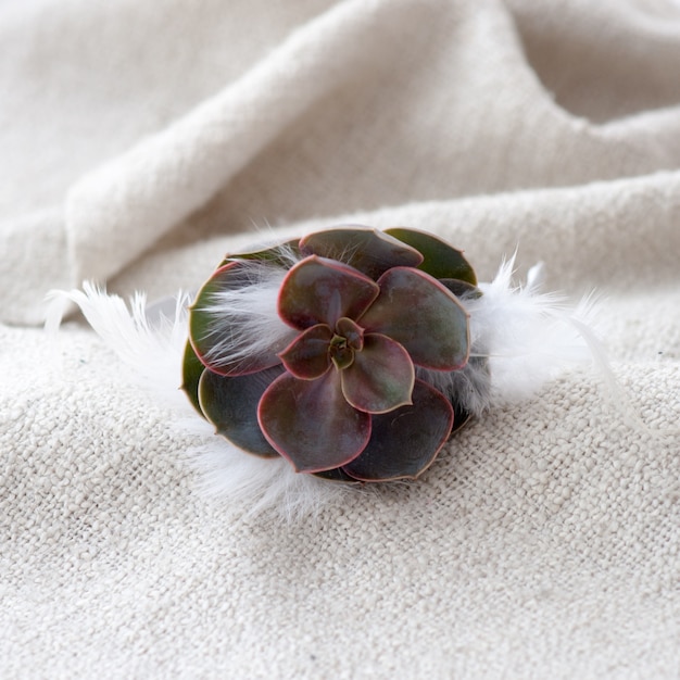 Tiara of artificial roses on wooden .