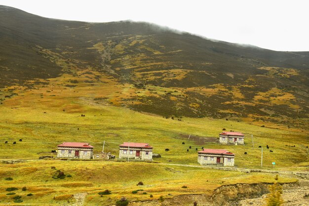 Tibetaanse huizen op het platteland van Daocheng