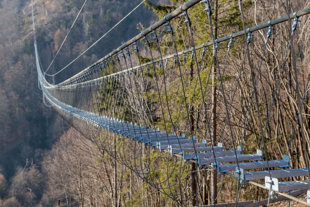 写真 チベット製鉄橋の建設