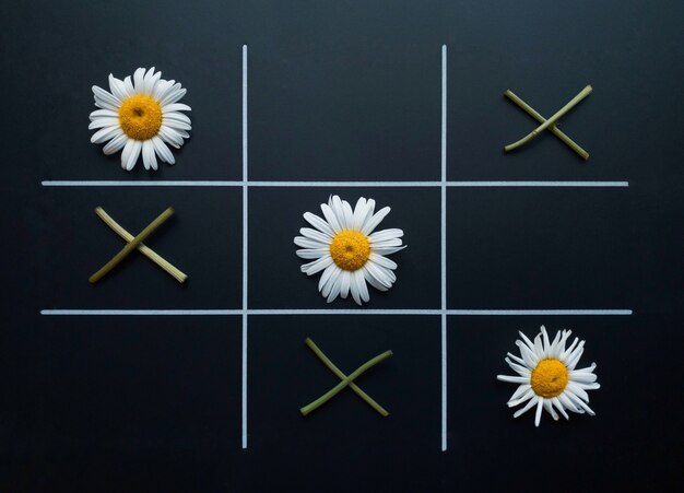 Tic tac toe op een zwarte achtergrond gemaakt van kamille bloemen en bloemtakjes. Plat leggen. Natuurlijk begrip.