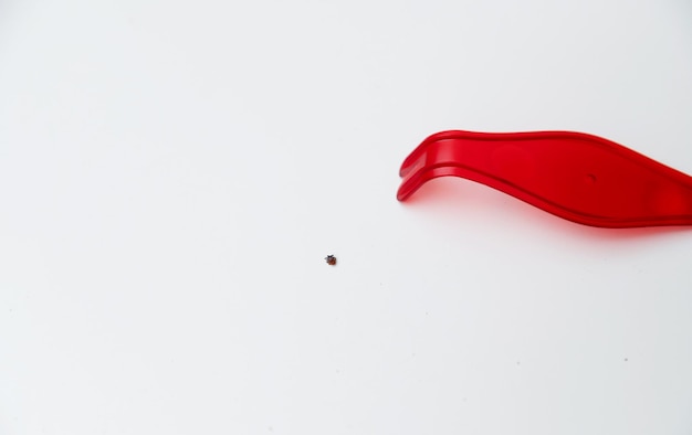 tick hook on a white background along with an extended tick animal tick removal tool