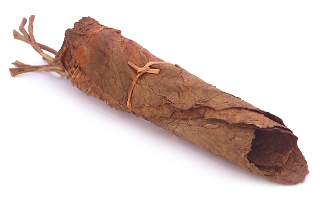 Tied tobacco leaves over white background