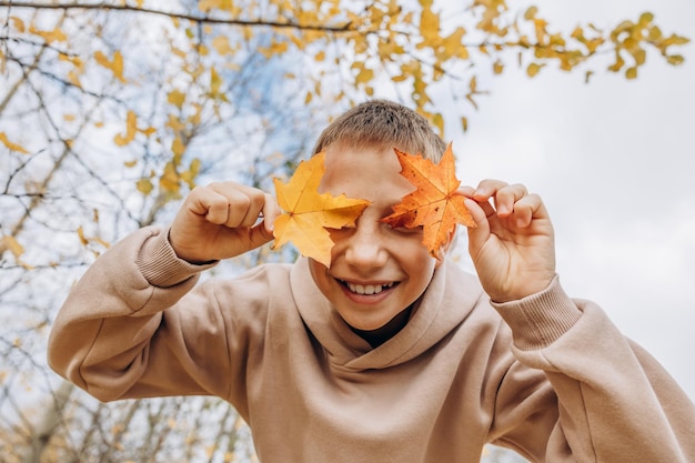 Tienerjongen die zijn ogen achter esdoornbladeren verbergt Kind dat gele herfstbladeren in zijn handen houdt Tiener die pret heeft bij het wandelen in het herfstpark Selectieve aandacht