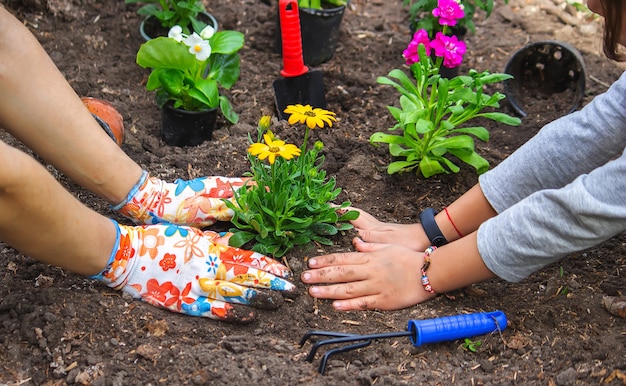 Foto tienermeisje helpt moeder bloemen te planten