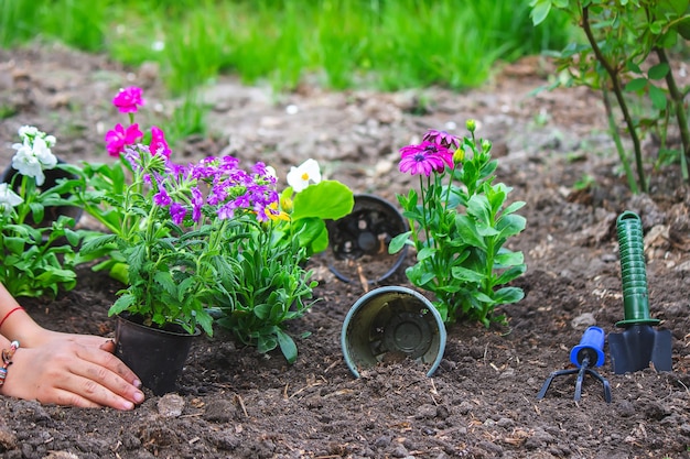 Tienermeisje helpt moeder bloemen te planten