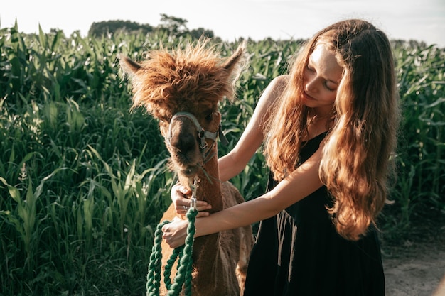 Tienermeisje van 12-15 jaar oud met lang luxueus haar in zomerjurk strijkt bruine alpaca op zomerdag op de boerderij. Agrotoerisme. Natuurlijke materialen. Prachtige dieren. Vakanties voor kinderen.