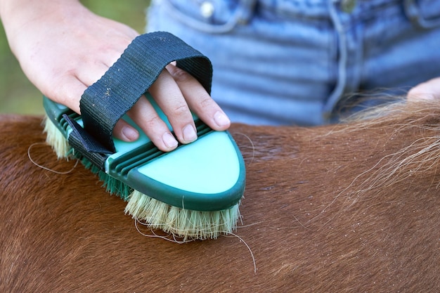 Tienermeisjes hand borstelen een rug van pony paard op close-up buitenshuis.