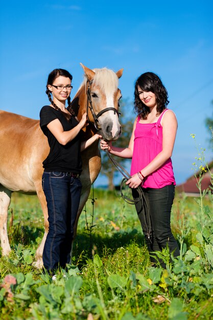 Tienermeisjes met paard