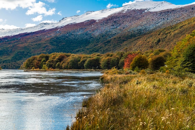 Tierra del fuego national park patagonia argentina