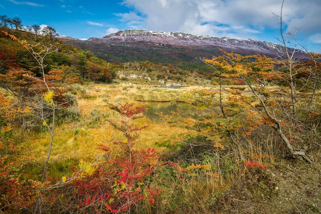 Photo tierra del fuego national park ushuaia argentina