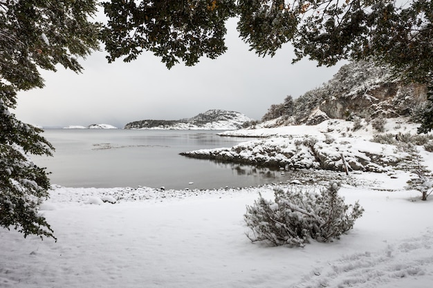 Parco nazionale tierra fuego