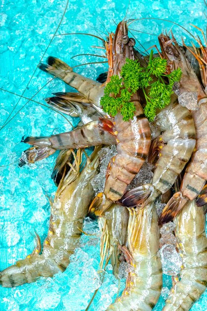 tiger gray green fresh shrimp langoustines with and without a head, lie on the ice blue sea