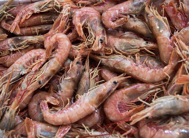 Tiger Shrimps textured at the central market in Athens,Greece