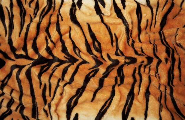 Photo tiger skin