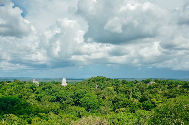 Tikal archeologisch nationaal park.