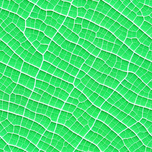 Photo tile with seamless texture