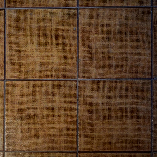 Tiled floor of an old bathroom