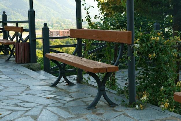 A tiled staircase in the park leads to wooden park benches past
evergreen trees growing nearby