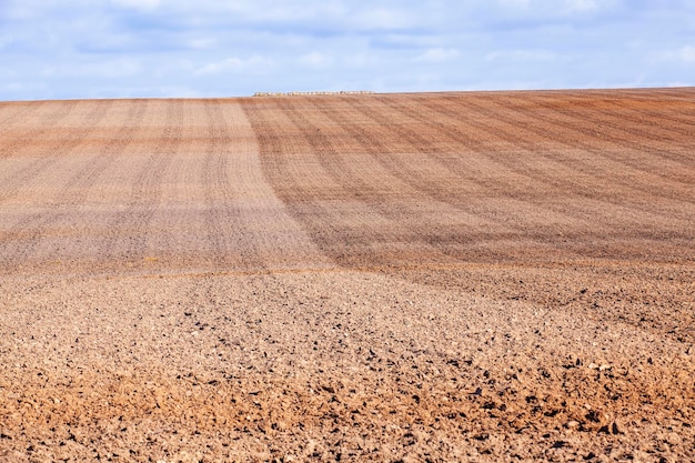 Tillage in the agricultural field for planting a new crop