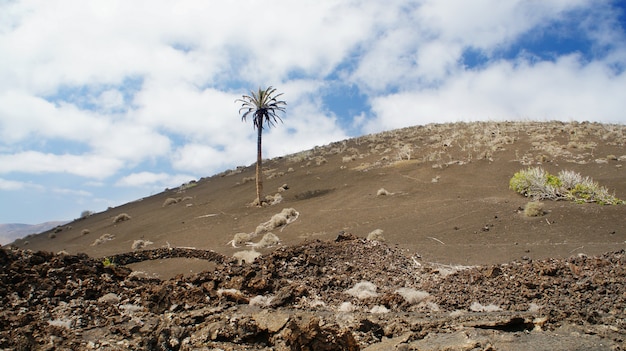 Timanfaya nationaal park in lanzarote, canarische eilanden, spanje