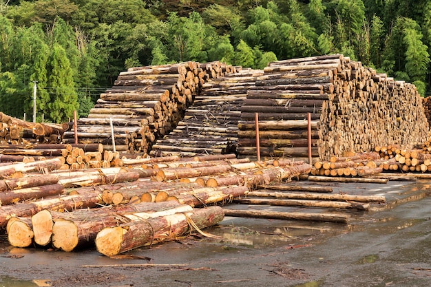 Timber industry