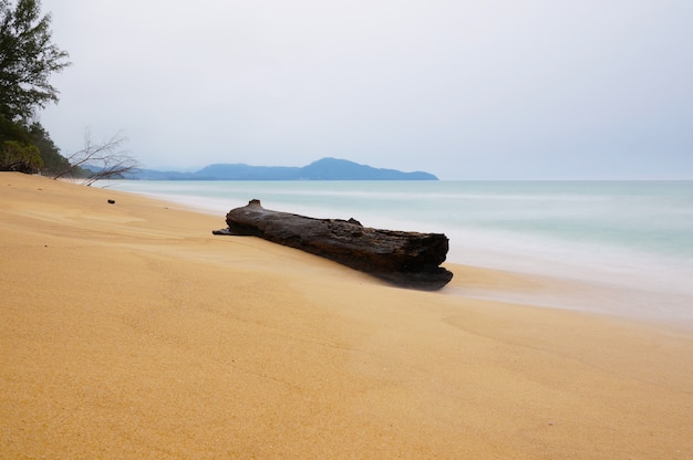 Timber Trap On The Beach