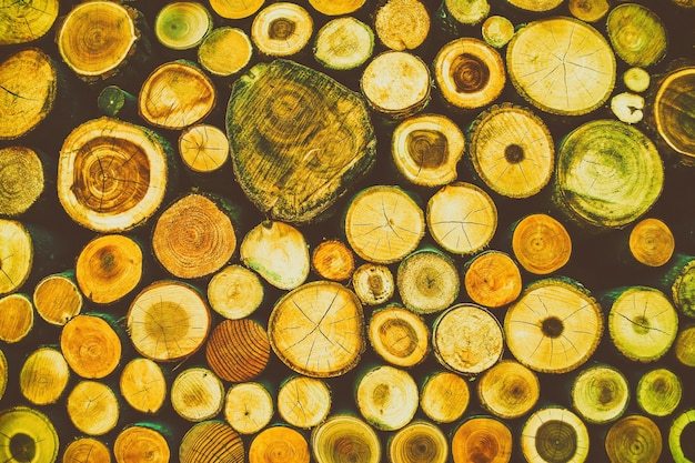 Fondo di legno di arte della natura di struttura del legname