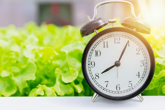 녹색 샐러드 배경으로 야채와 건강 식품 개념 복고풍 알람 시계를 먹을 시간